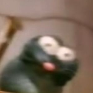 Meet your Posher, Celina